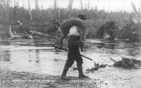Hunter with deer